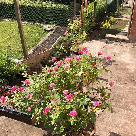 Le Kesbel Entre Strasbourg Et Colmar En Centre Alsace Lièpvre