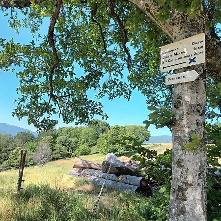 Le Kesbel Entre Strasbourg Et Colmar En Centre Alsace Apartment *