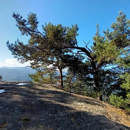 Appartamento Le Kesbel Entre Strasbourg Et Colmar En Centre Alsace Lièpvre