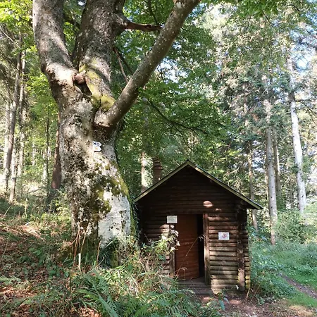 아파트 Le Kesbel Entre Strasbourg Et Colmar En Centre Alsace *