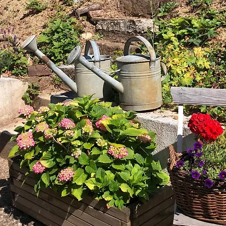 Apartment Le Kesbel Entre Strasbourg Et Colmar En Centre Alsace Liepvre