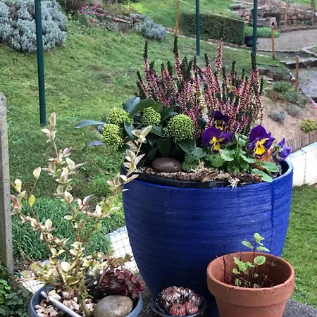 Le Kesbel Entre Strasbourg Et Colmar En Centre Alsace 아파트 Lièpvre