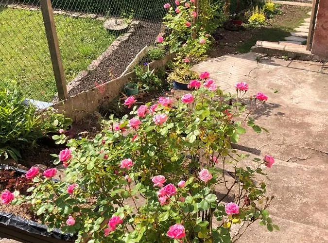 Le Kesbel Entre Strasbourg Et Colmar En Centre Alsace Lièpvre