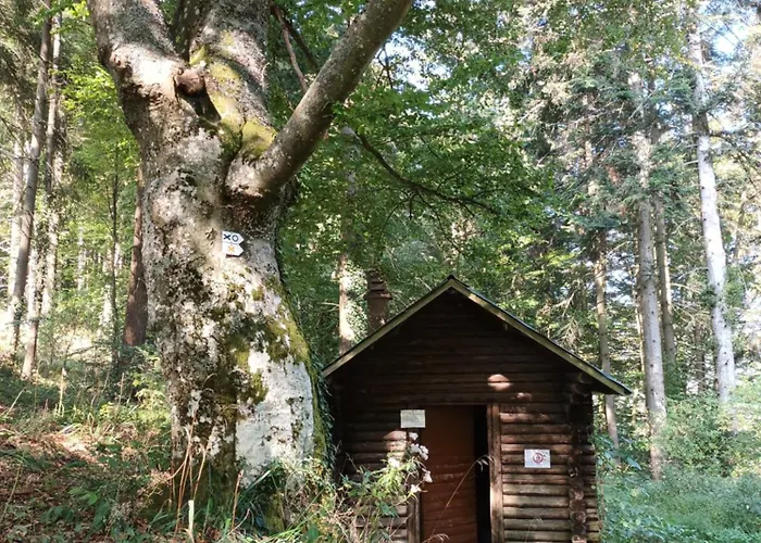 Apartment Le Kesbel Entre Strasbourg Et Colmar En Centre Alsace *