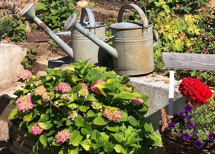 Apartment Le Kesbel Entre Strasbourg Et Colmar En Centre Alsace Liepvre