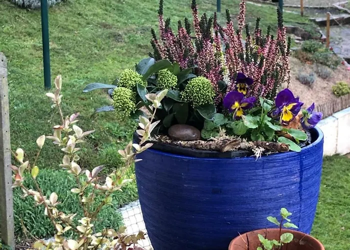 Le Kesbel Entre Strasbourg Et Colmar En Centre Alsace Lägenhet Lièpvre